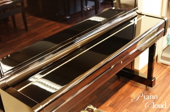U1A
